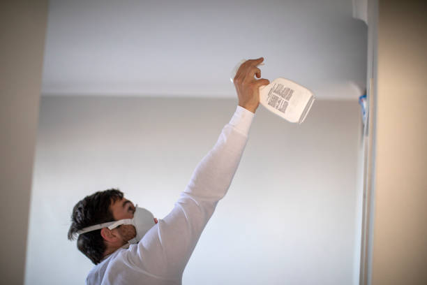 Best Crawl Space Mold Removal  in Bartlett, TN