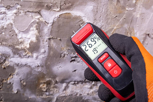 Best Mold Testing  in Bartlett, TN