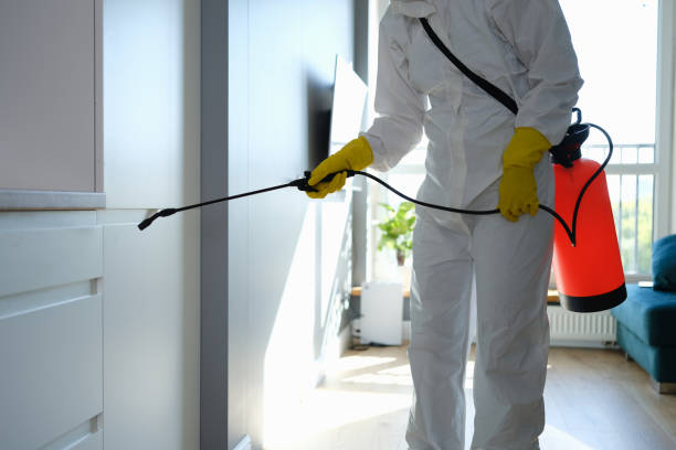 Certified Mold Removal in Bartlett, TN